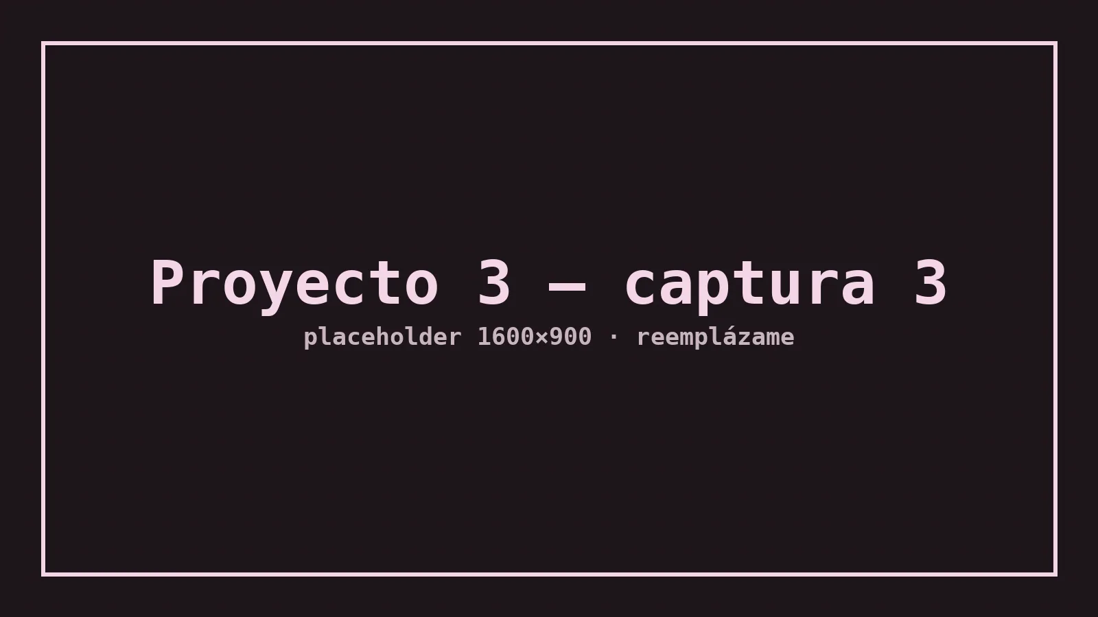 Proyecto 3 – captura 3